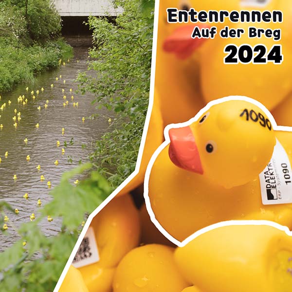 Entenrennen Grafik